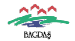 Bagdas