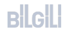Bilgili